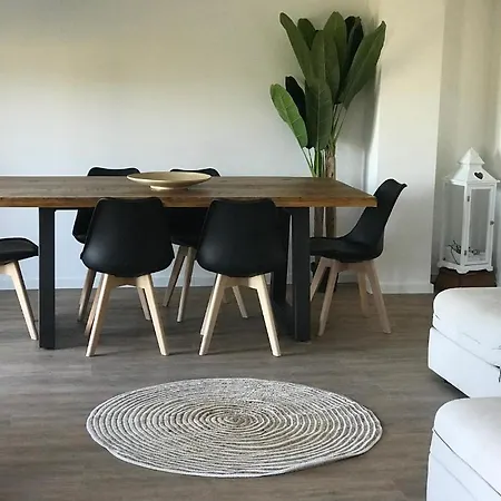Casa Cola Holiday *